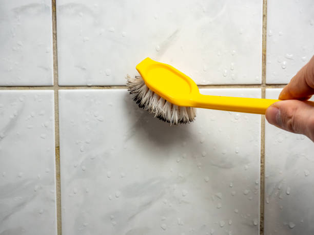 Best Local Mold Removal Service  in Franklin Park, IL